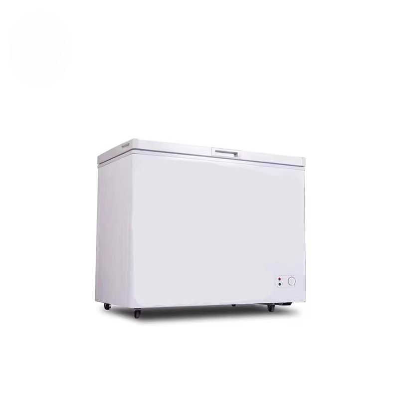 Commercial Chest Freezer - 100 ~ 300 liter commerciële horizontale