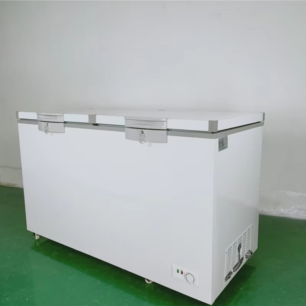 Dubbele Deuren Horizontale Vri - Commercial Chest Freezer recensie en prijs